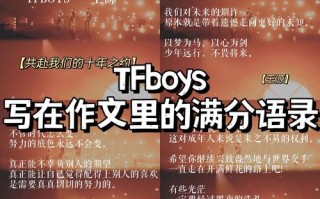 tfboys被黑议论文