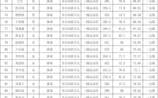 2025单招二志愿录取