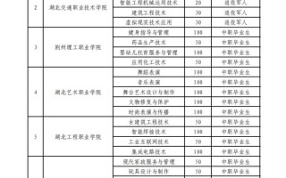 2025湖北单招有哪些学校？