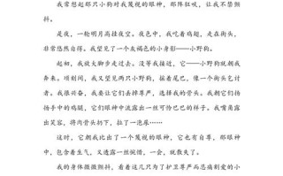 狗议论文800字议论文