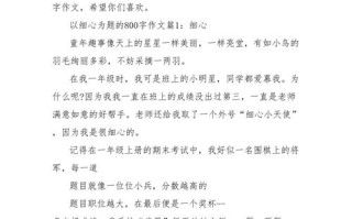 细心 高中议论文