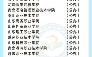 2025山东单招学校有哪些？