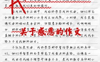 感恩议论文素材有哪些实用角度？