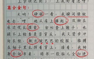 急，是效率还是陷阱？