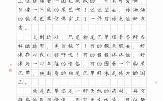 狗尾草何以成议论文经典素材？