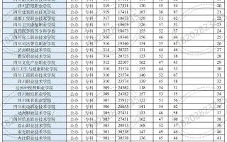 2025年四川单招学院有哪些？