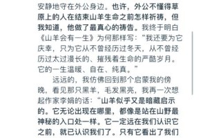 教养何为？议论文800字如何解？