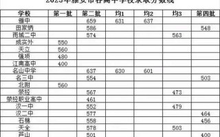 雅安2025单招分数线大概多少？