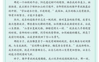 2025中考议论文复习