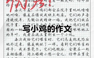 小鸡问母鸡，问题背后藏着什么？