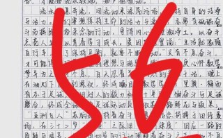 坚持议论文800字作文