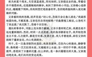 耐心作文800字议论文，耐心如何铸就人生华章？