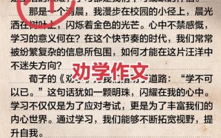 劝学议论文700字，如何以劝学点亮人生？