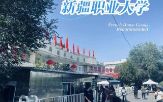 2025新疆单招学校有哪些？