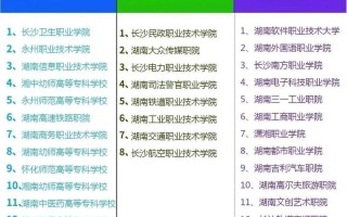 湖南单招学校排名如何？