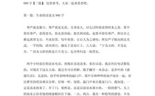 生命的灯塔是什么？