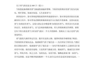 勇气议论文素材加议论文