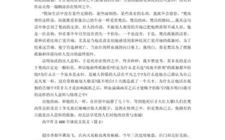 说大论小的议论文600