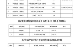 山东2025单招网何时开放报名？
