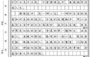 诗词 议论文800字