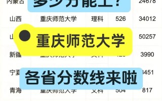 重庆学校师范单招本科怎么报？