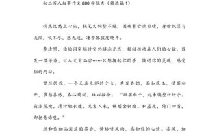 写名人的800字议论文