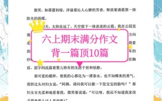 微笑为何能传递如此强大的力量？