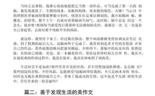 善于发现800字议论文