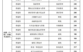 2025山东职业单招群