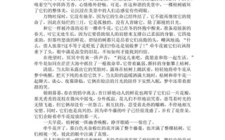 做自己，何惧他人眼光？