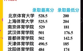 体育单招分数怎么查？