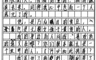 追星作文800字议论文，青少年追星利大于弊吗？