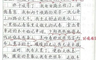 议论文作文 的风景