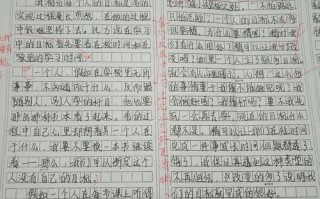 实践作文800字议论文