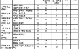 2025年开封大学单招