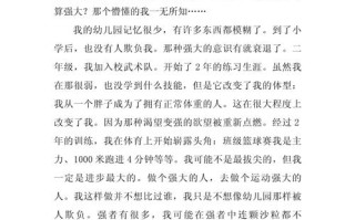 实力是成功的唯一标准吗？