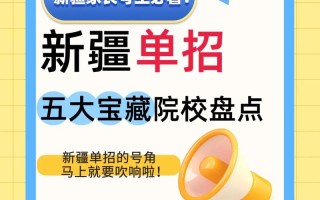 新疆单招轻工学院单招网是什么？