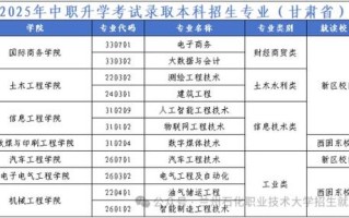 2025年兰州石化单招