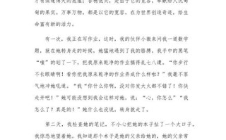 宽容如何成为社会良药？