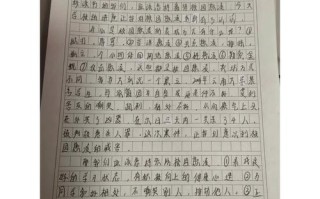 校园暴力为何频发？如何守护青春净土？