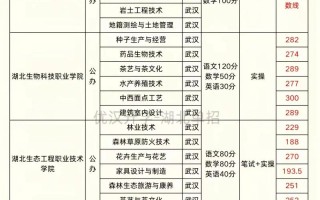 2025湖北省单招学校