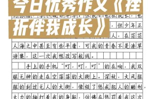 如何直面挫折？800字议论文有何启示？