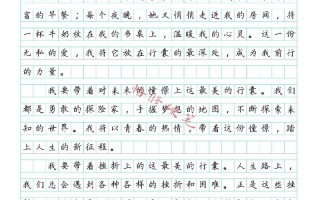 我的行囊议论文800