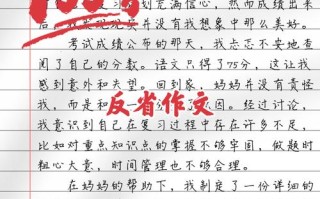 反省，照亮成长之路的明灯？