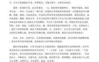 如何实现生命的真正价值？