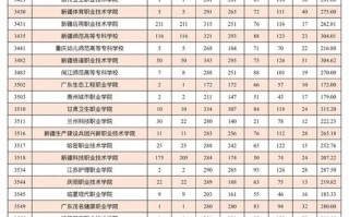 2025新疆单招院校有哪些？