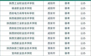 2025年单招政策陕西