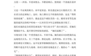 尝试的价值与边界何在？