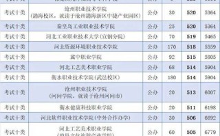 2025河北单招的大专