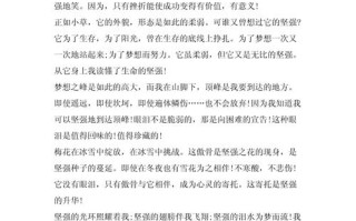 坚强，究竟该如何选择？